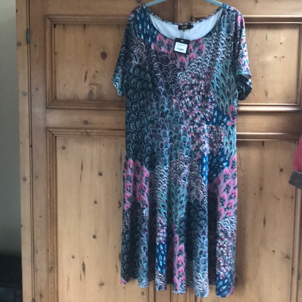 Zulily Paisley dress by R& B